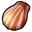 Beach Shell