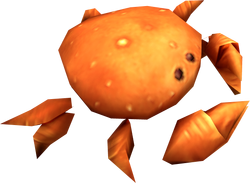 Sand Crab