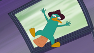 PerryFalling