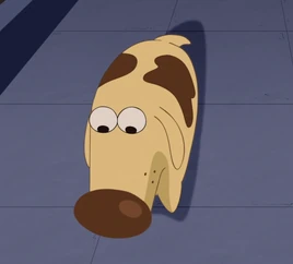 Sad Dog ibx
