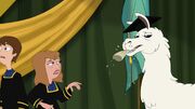 Llama 84.jpg