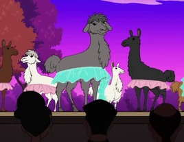 Llama song ib