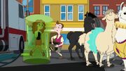Llama 136.jpg