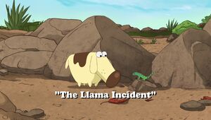 The Llama Incident title card.jpg