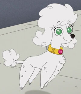 PioThePoodleFull