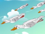 Duck Attacks