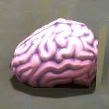 Brain | Mind Over Magic Wiki | Fandom