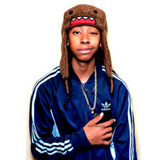 Ray-Ray-ray-ray-mindless-behavior-31520535-500-500.jpg