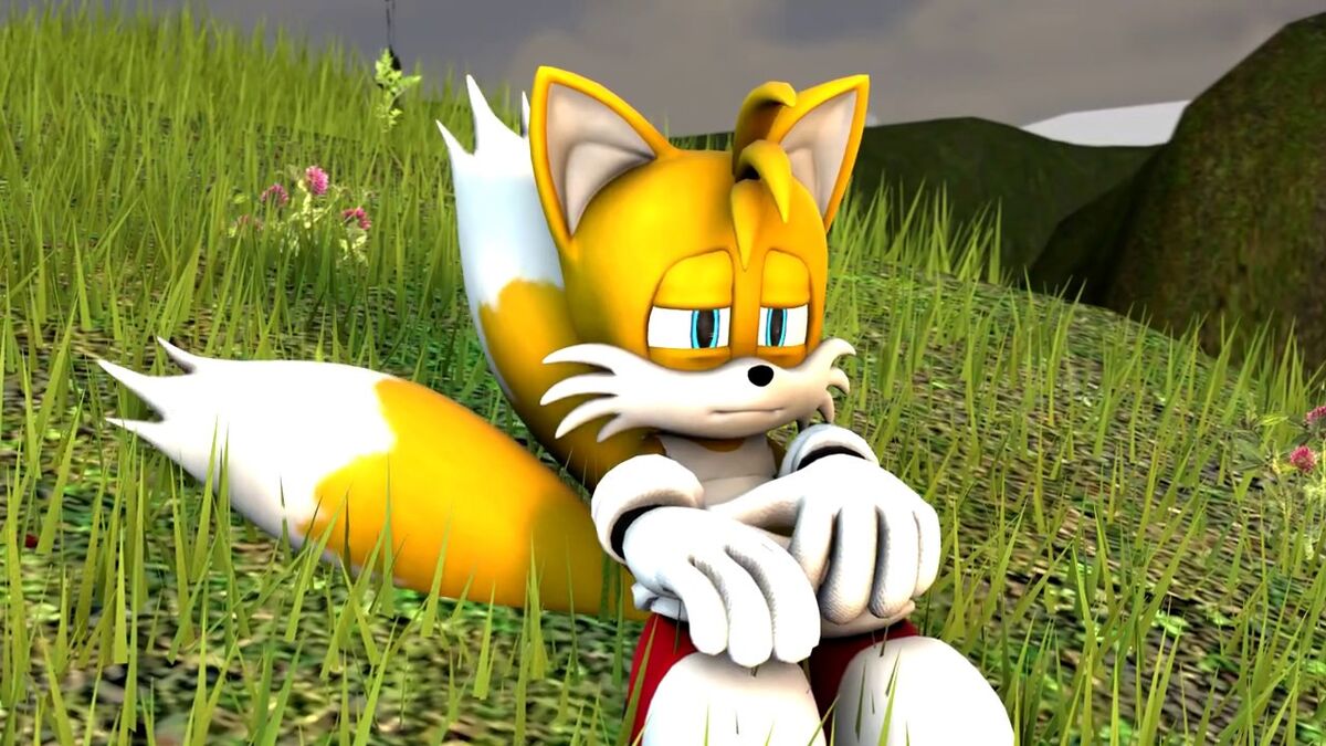 Miles Tails Prower - Moegirlpedia