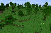 JungleEdge