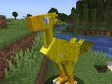 Chococraft/Chocobo