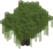 Willow Tree