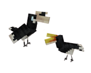 Hornbills are not toucans