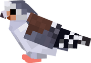 Falcon