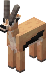 HDGazelle