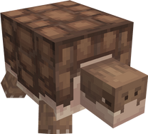 Sulcatatortoise