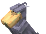 Shoebill