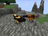 Lammergeier