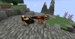 Lammergeier