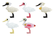 Spoonbills