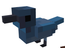 Bountifulbirdsupdate (8)