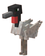 Jabiru