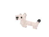 Stoat