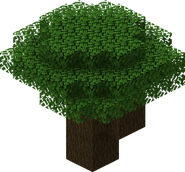Dark Oak Tree