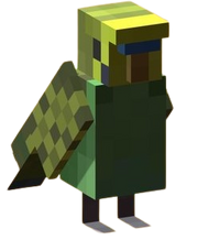 Budgerigar Concept