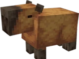 Capybara