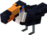 Toucan
