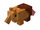 Black and Rufous Sengi