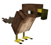 Hawk