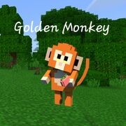 Monkeys