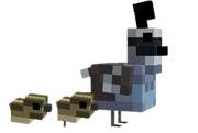 Quail