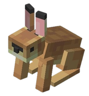 Hare