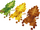 Leaf Insect