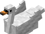 Swan