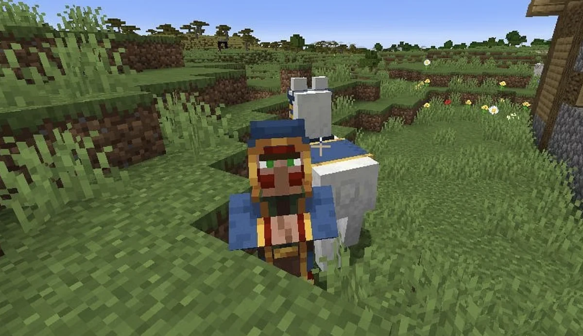 Wandering Trader Minecraft Mobs Wiki Fandom