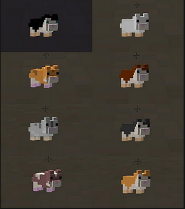 Hamsters