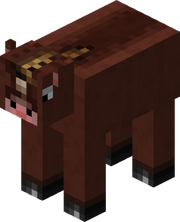 Horse cow