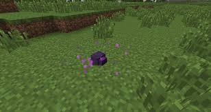 They endermite be the one #minecraft #minecraftmobs #minecrafttips