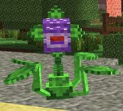Plant