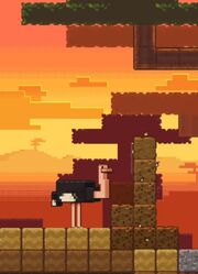 Ostrich and Termites