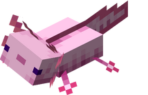AJOLOTE