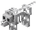 Skeleton Wolf