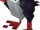 Puffin