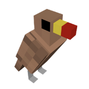 Oxpecker