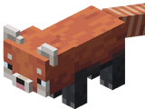 Red Panda