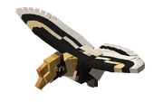 Hornbill